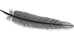 technologies apache