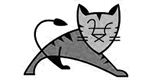 technologies tomcat
